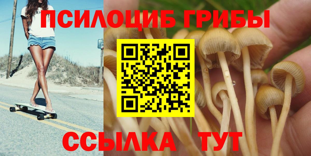 Псилоцибиновые грибы Psilocybine cubensis  Вход с VPN  Оренбург  Галлюциногенные грибы MAGIC MUSHROOMS 