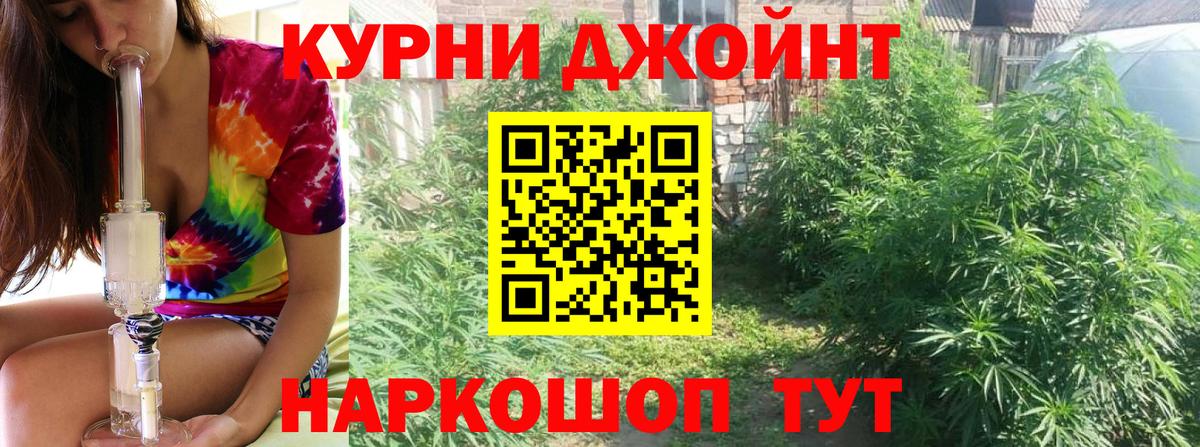 Каннабис гибрид  Конопля Amnesia  Оренбург  Вход с VPN  Шишки марихуана ГИДРОПОН  Бошки Шишки SATIVA & INDICA 